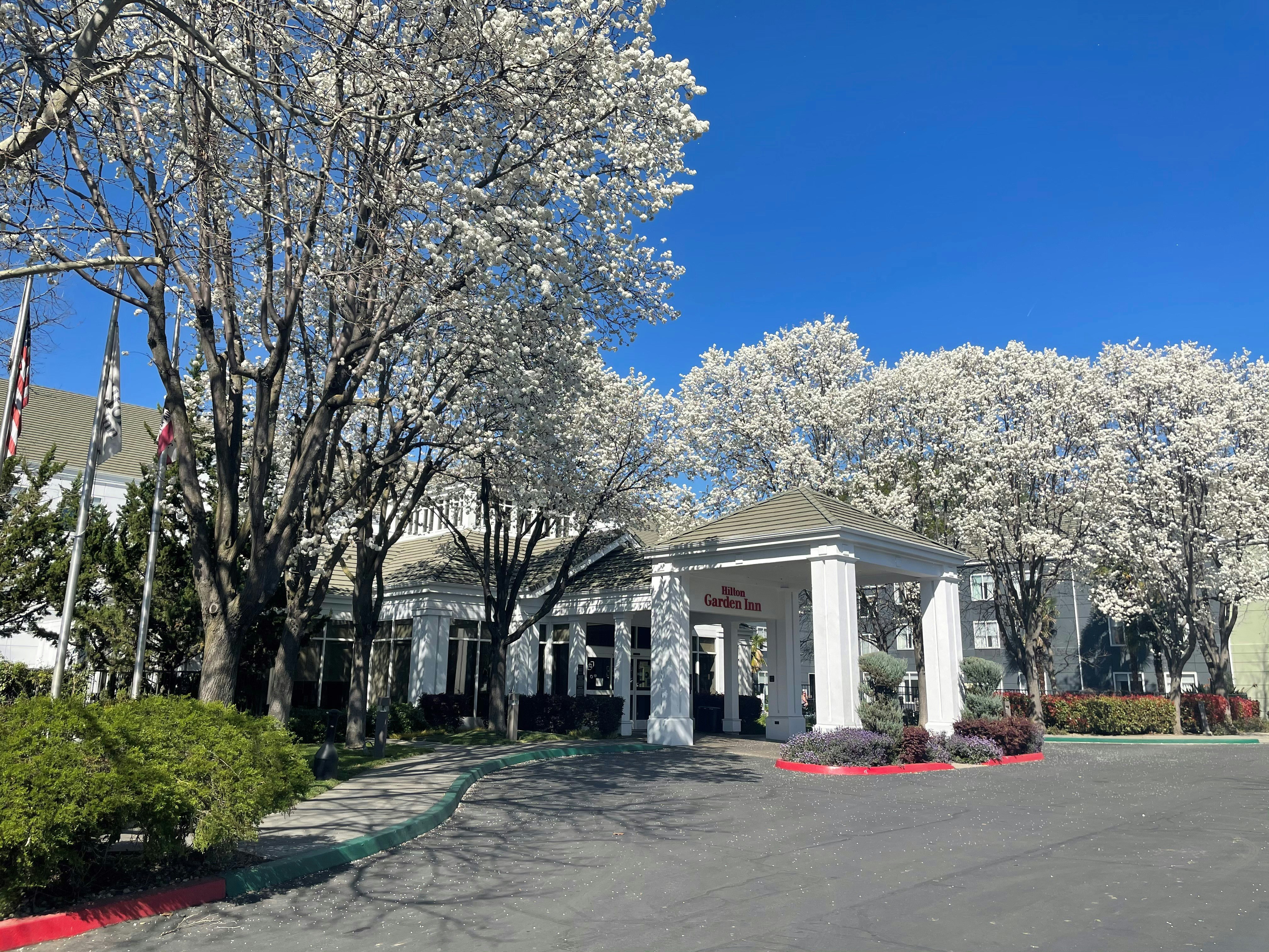 萨克拉门托南那托马斯希尔顿花园酒店(Hilton Garden Inn Sacramento South Natomas) 图片4
