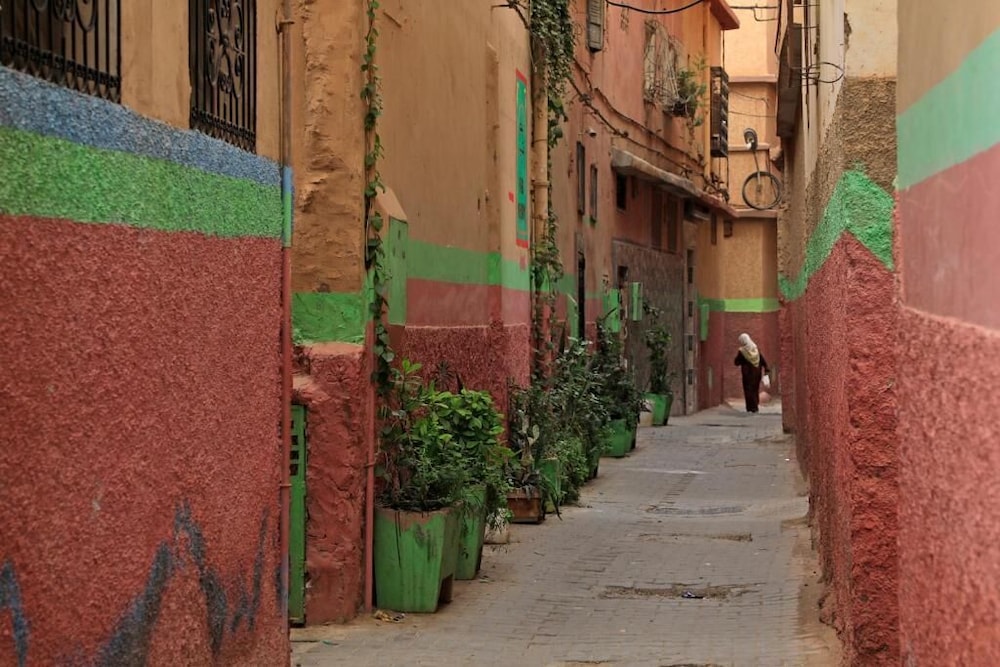 Riad Maryam 41/50