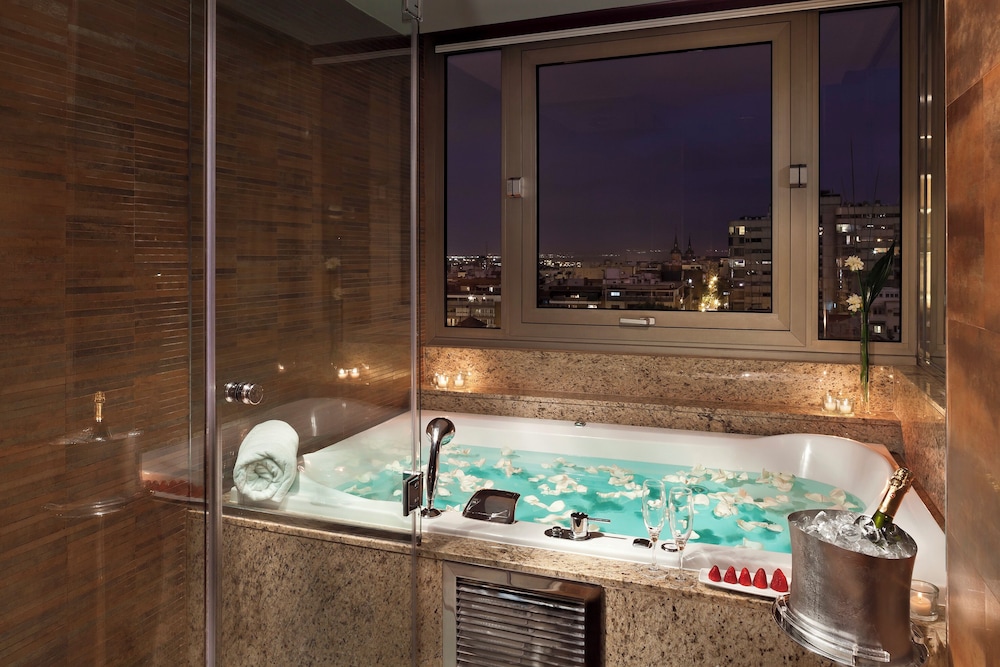 Melia Madrid Princesa Hotel 33/66