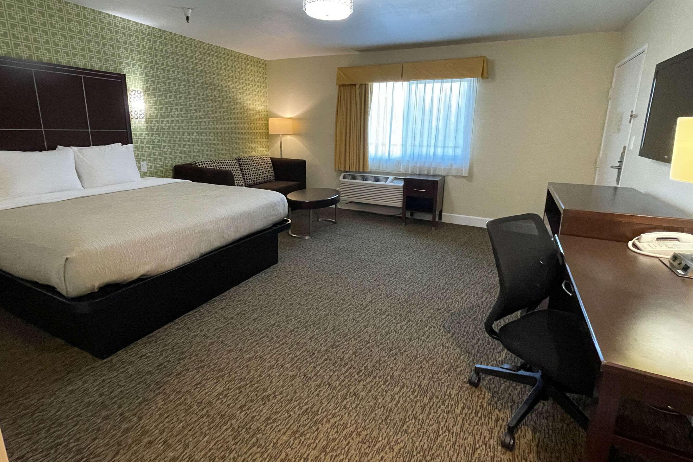 SUITE, KING BED