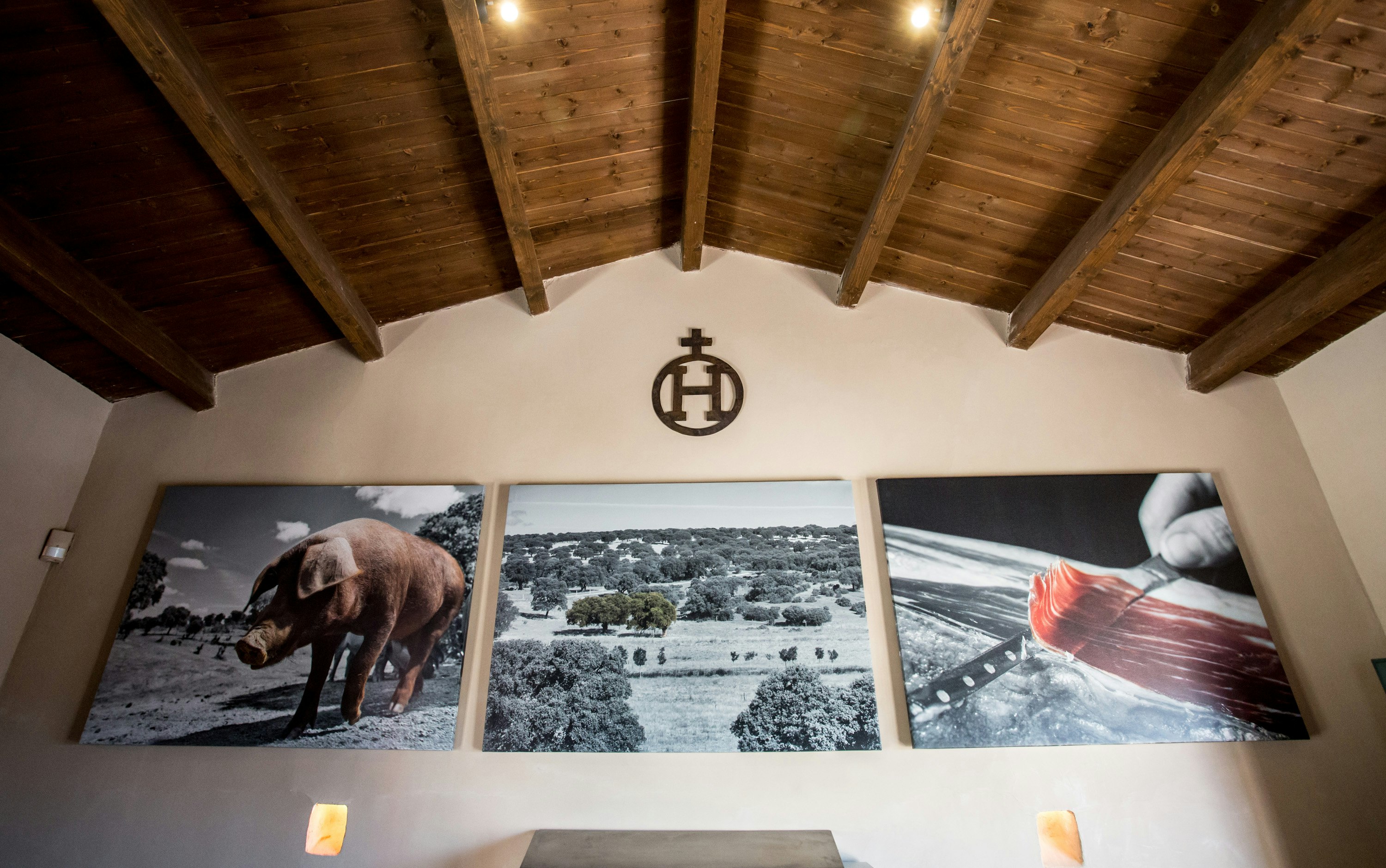 Hacienda Zorita 11/67