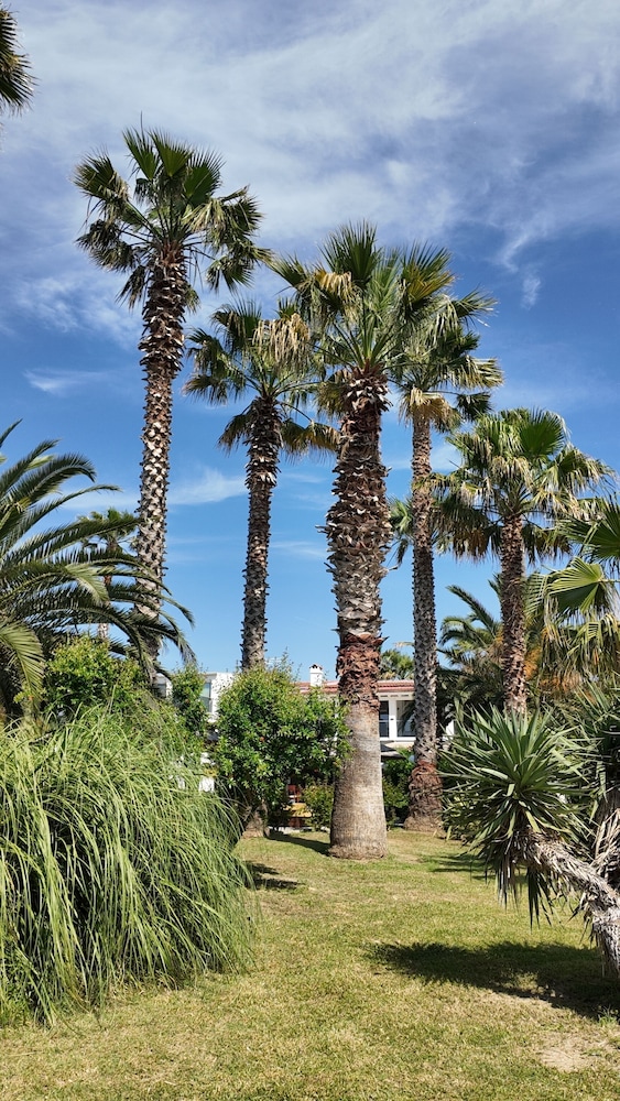 Palma Village by Greek Pride 48/55