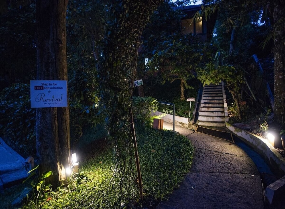 Abad Green Forest 45/50