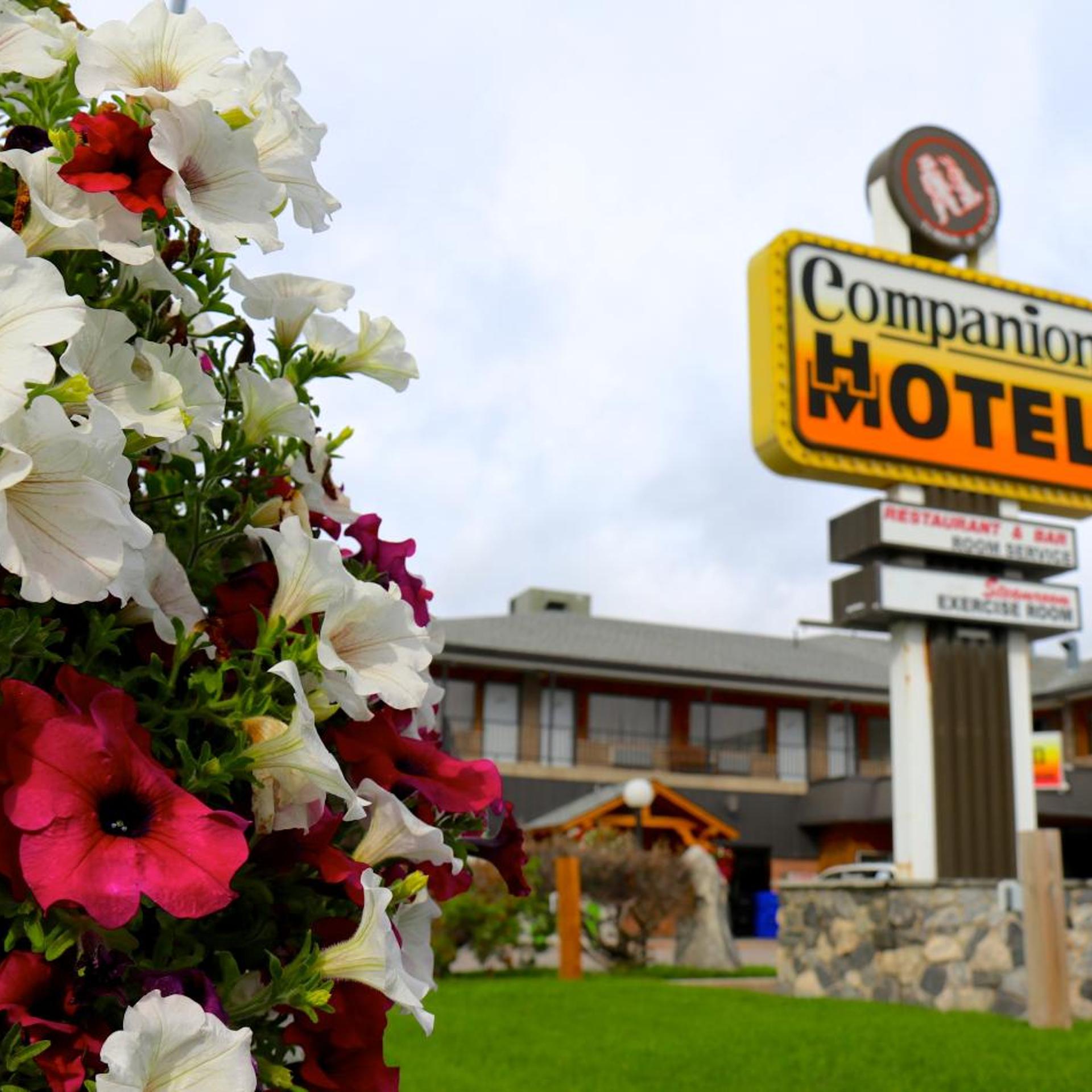 Companion Hotel Motel 3/33