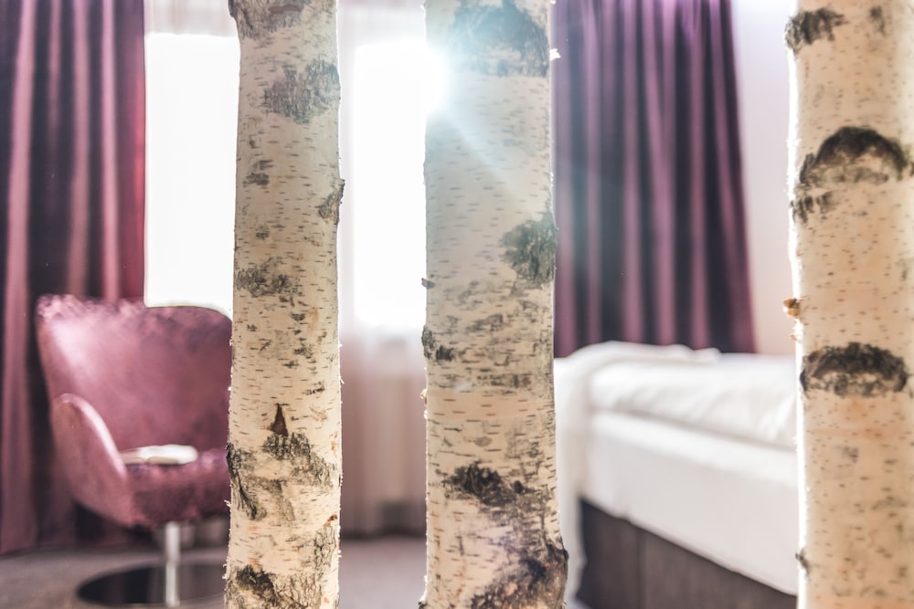 TRIHOTEL Rostock – Wellnesshotel Adults Only 23/47