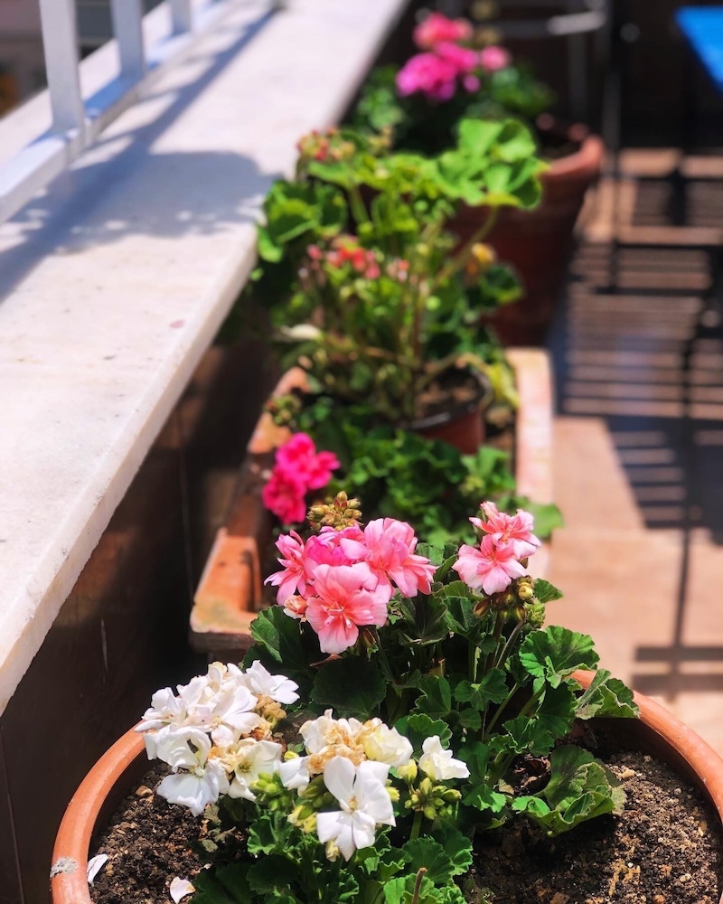 Avrasya Hostel 38/50