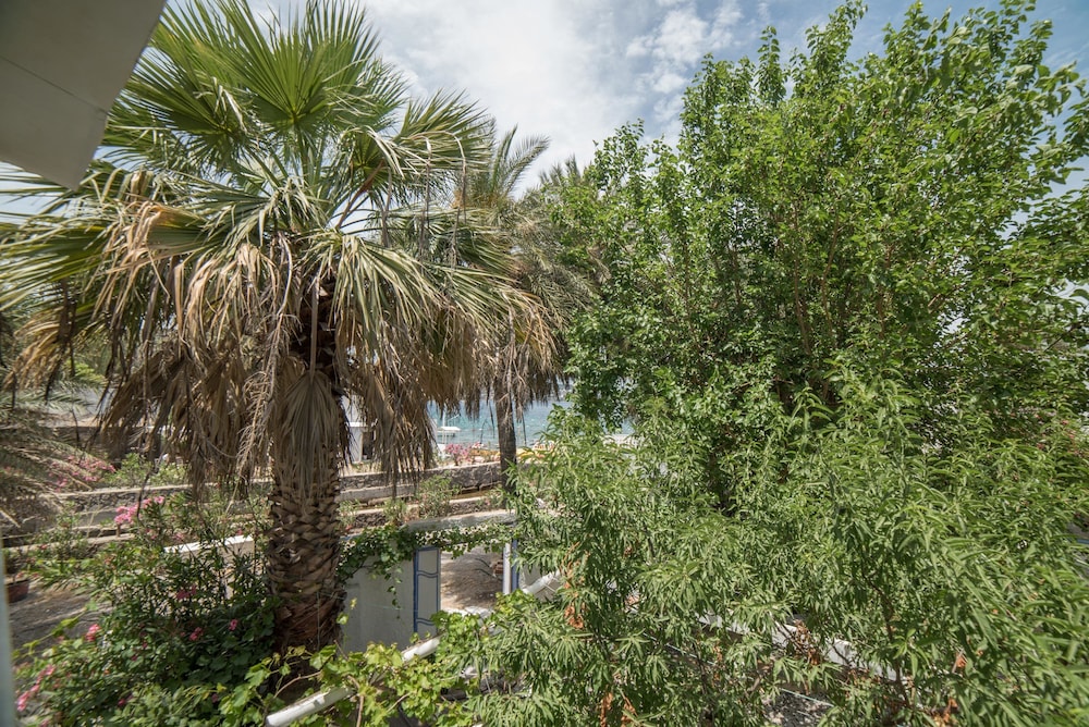 Palmiye Beach & Rest 55/64