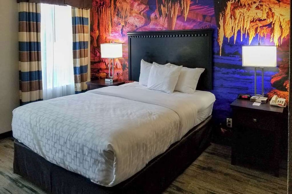 Efficiency, King Bed