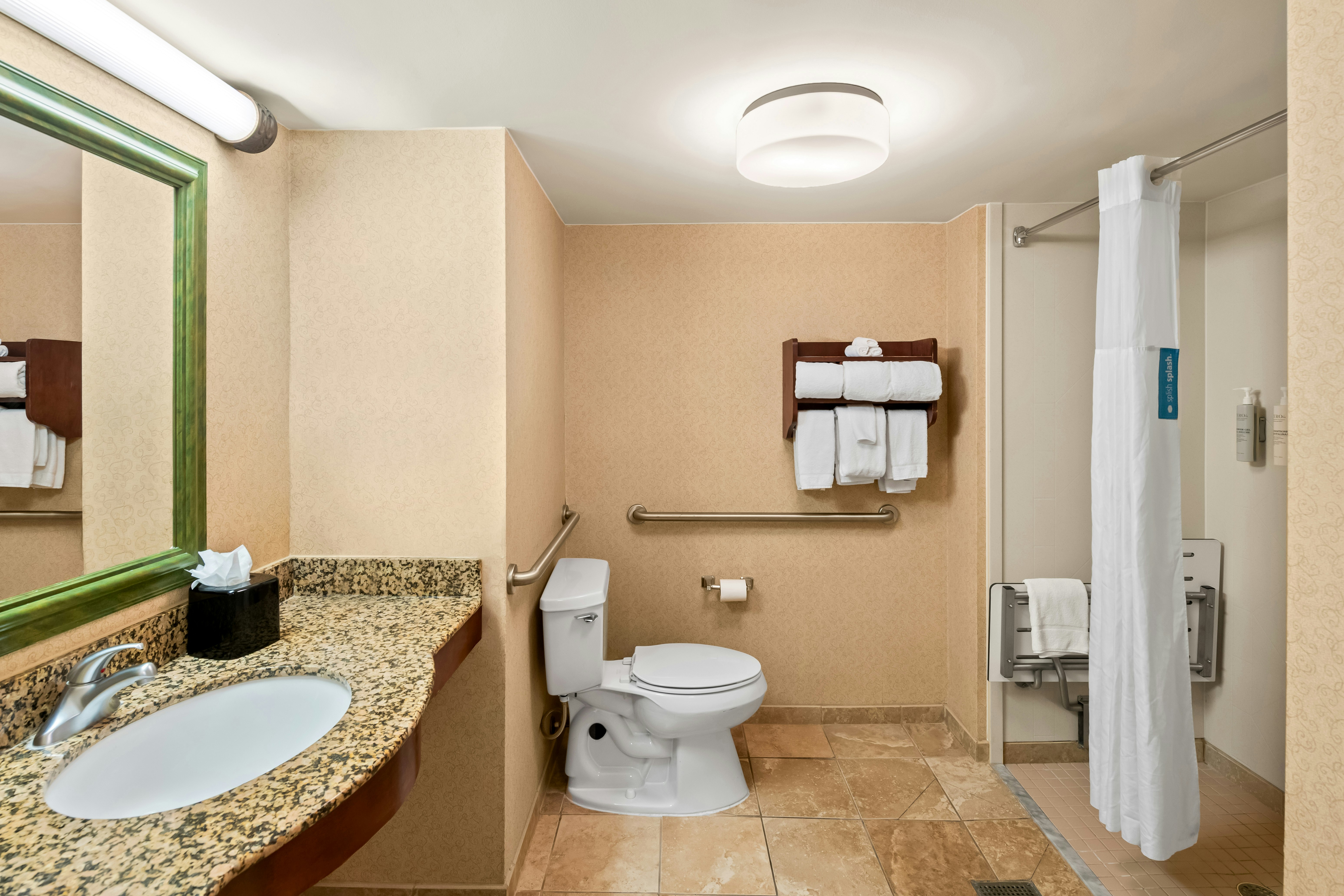 جناح بسرير كينج لذوي الإعاقة، Hampton Inn And Suites Williamsburg Central 3/5