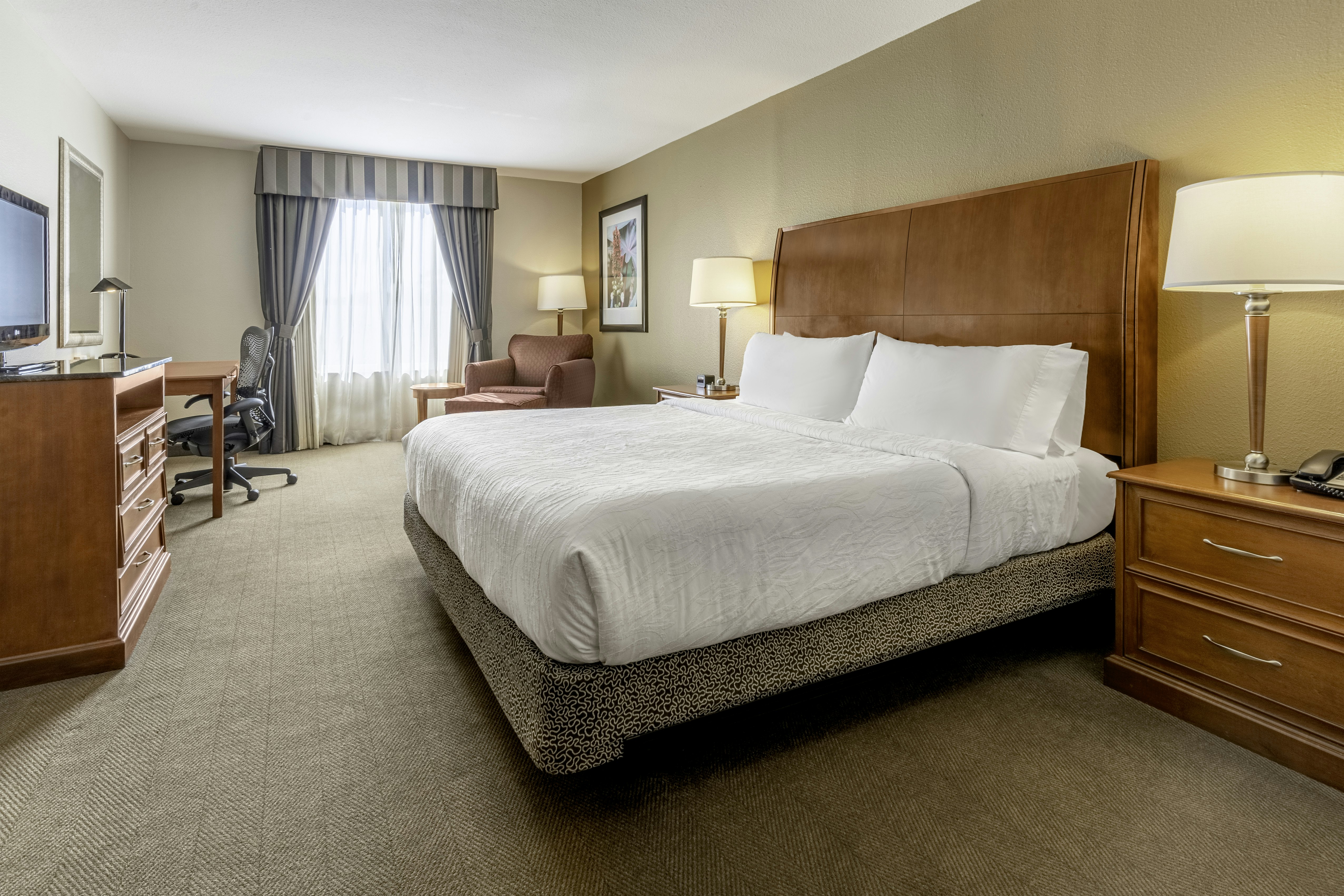 Junior Suite, King Bed