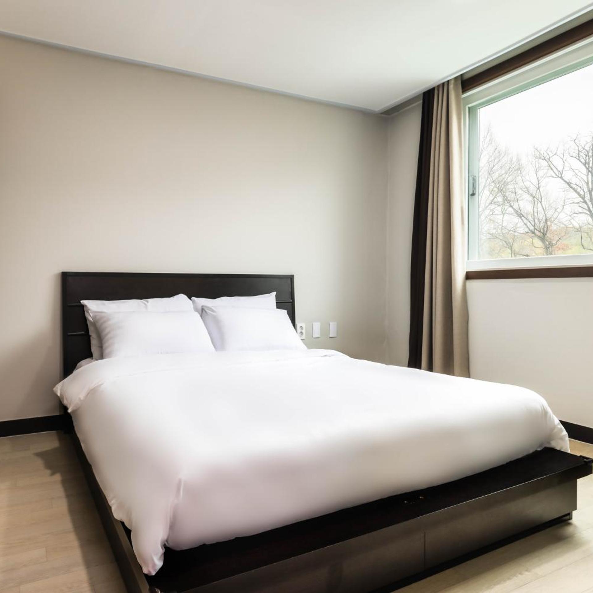Premier Plus Room