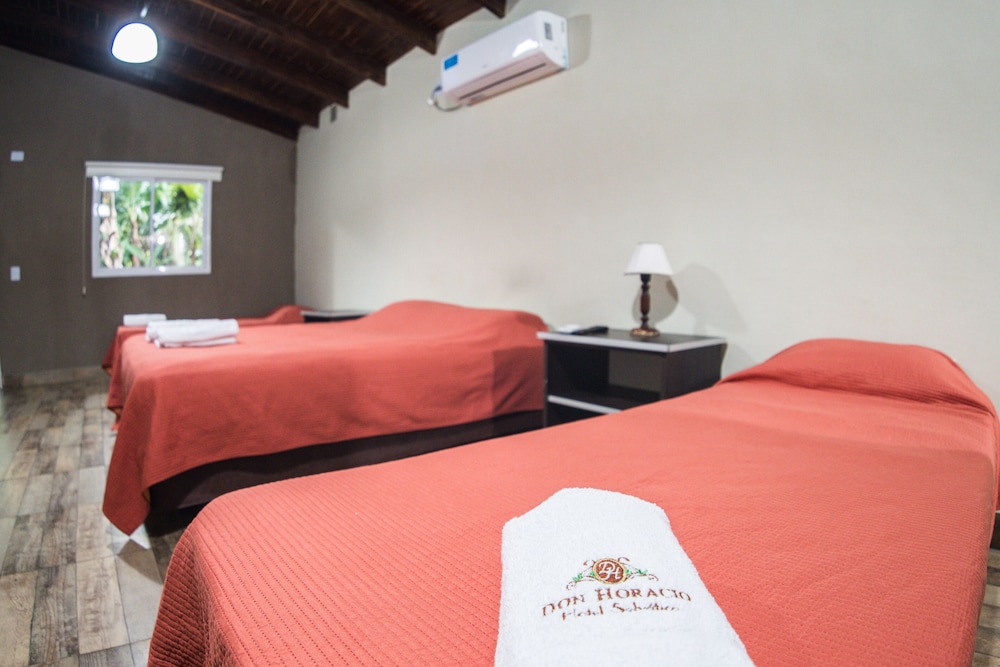 Don Horacio Hotel Selvatico 24/65