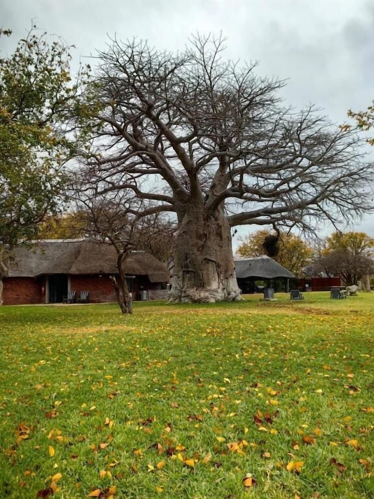 Munati Lodge 12/24
