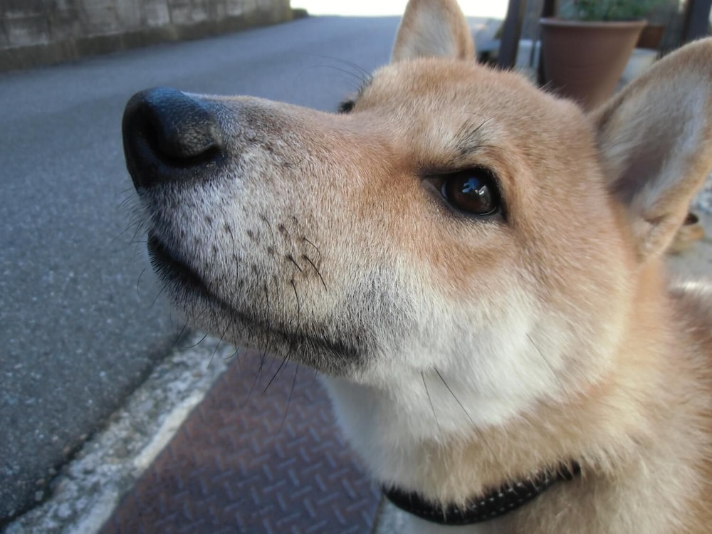 Kanazawa Share House Gaooo 13/18