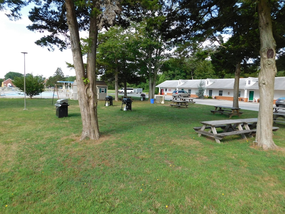 Hyland Motor Inn 47/63