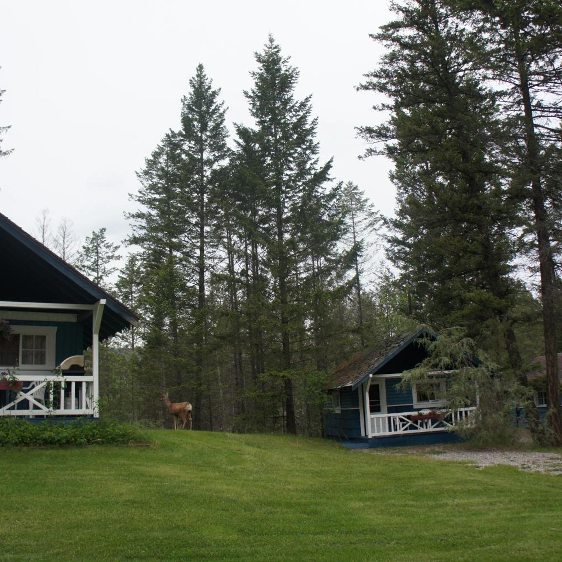 Fairmont Mountain Bungalows 42/50