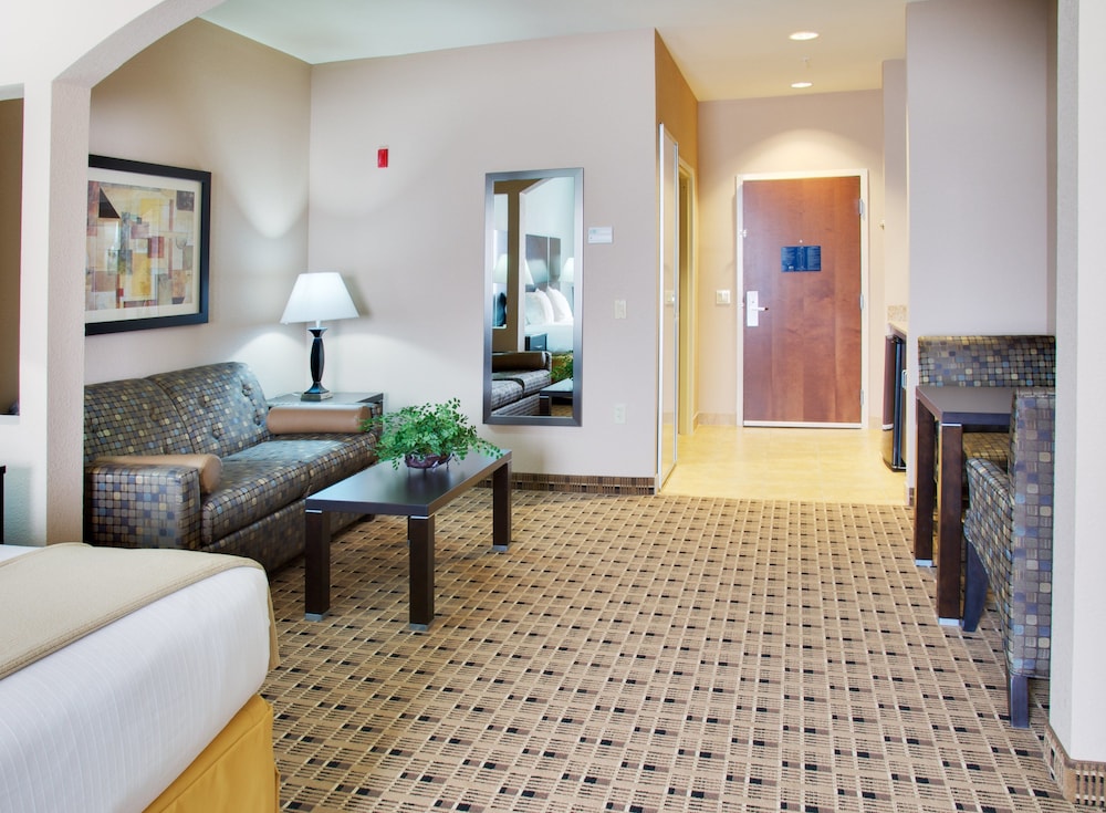 Holiday Inn Express Hotel And Suites Houston Energy Corridor W Oaks 19/29