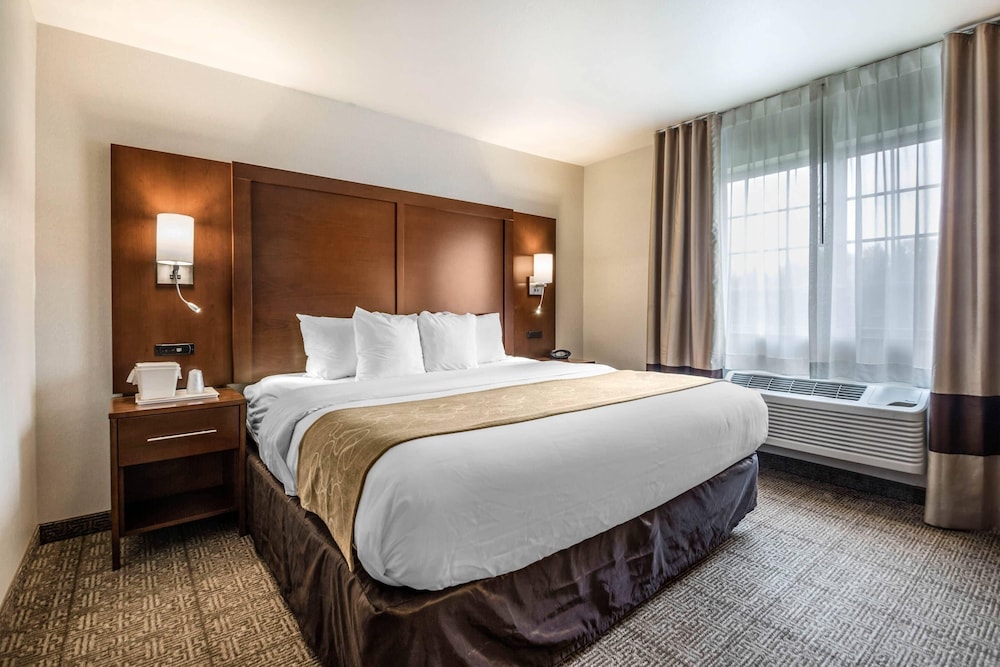 Suite, King Bed, Sofa