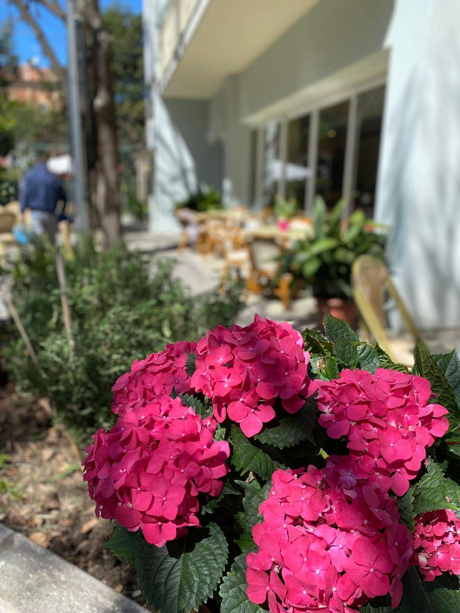 Hotel Capri 42/50