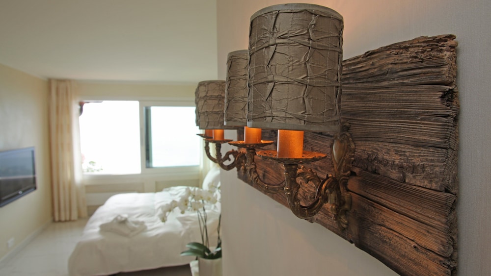 Villa Orselina Small Luxury Hotels 9/50