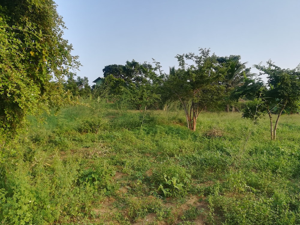 Wild Eco Safari 14/22