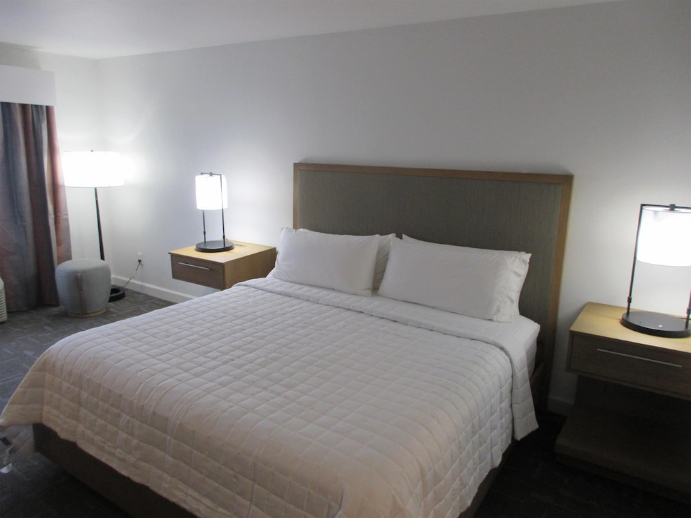 Suite, King Bed, Sofa, Living Area, Accessible