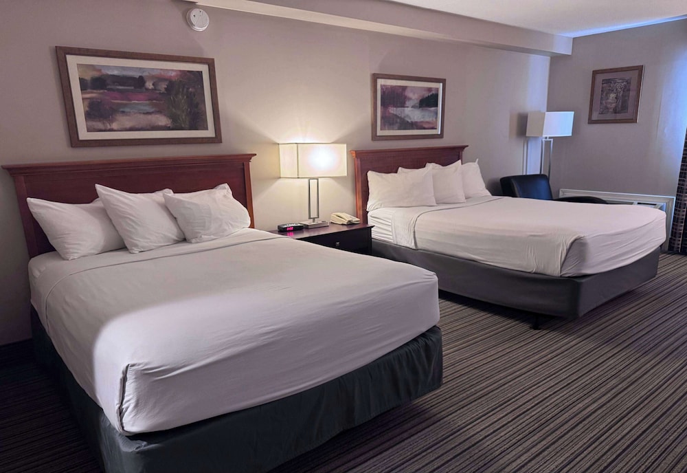 غرفة بزنس بسريرين مزدوجين