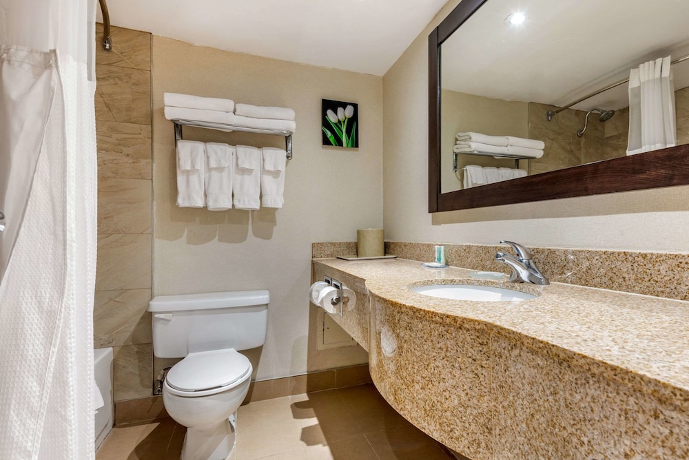 Quality Inn and Suites Brampton 20/47