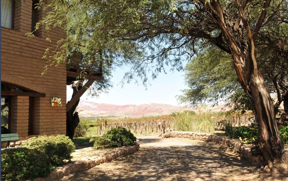 La Casa de la Bodega 28/40