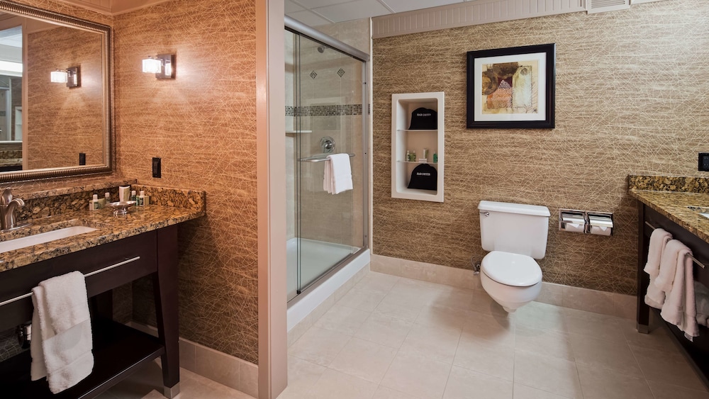 Best Western Plus Concordville Hotel 17/54