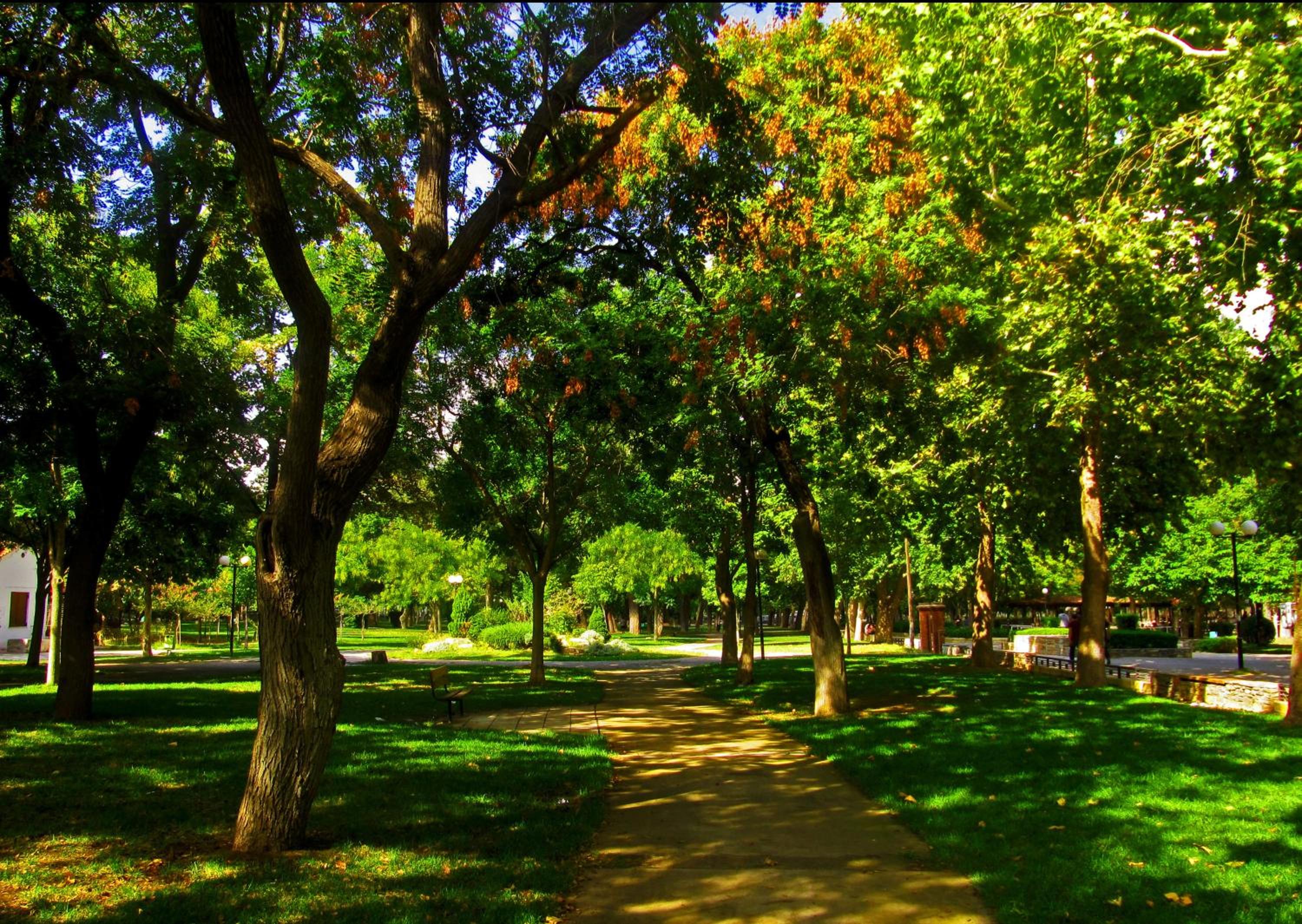 Park 48/55