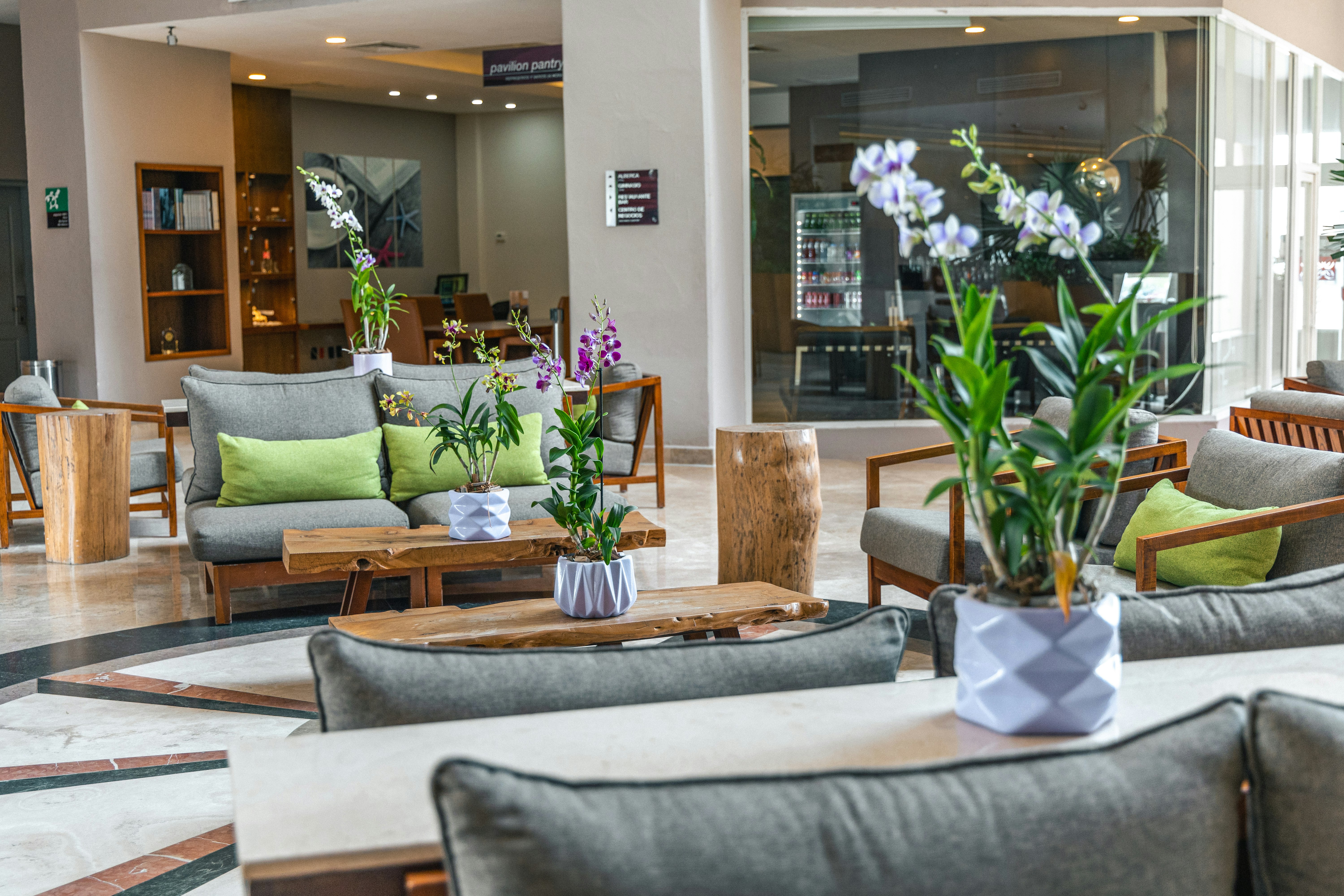 Hilton Garden Inn Boca Del Rio Veracruz 40/78