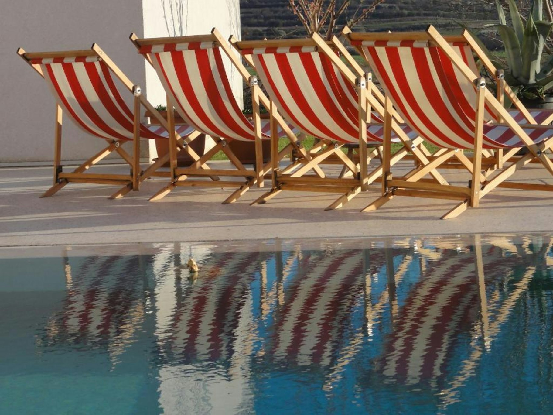 Hotel Gracanica 21/21
