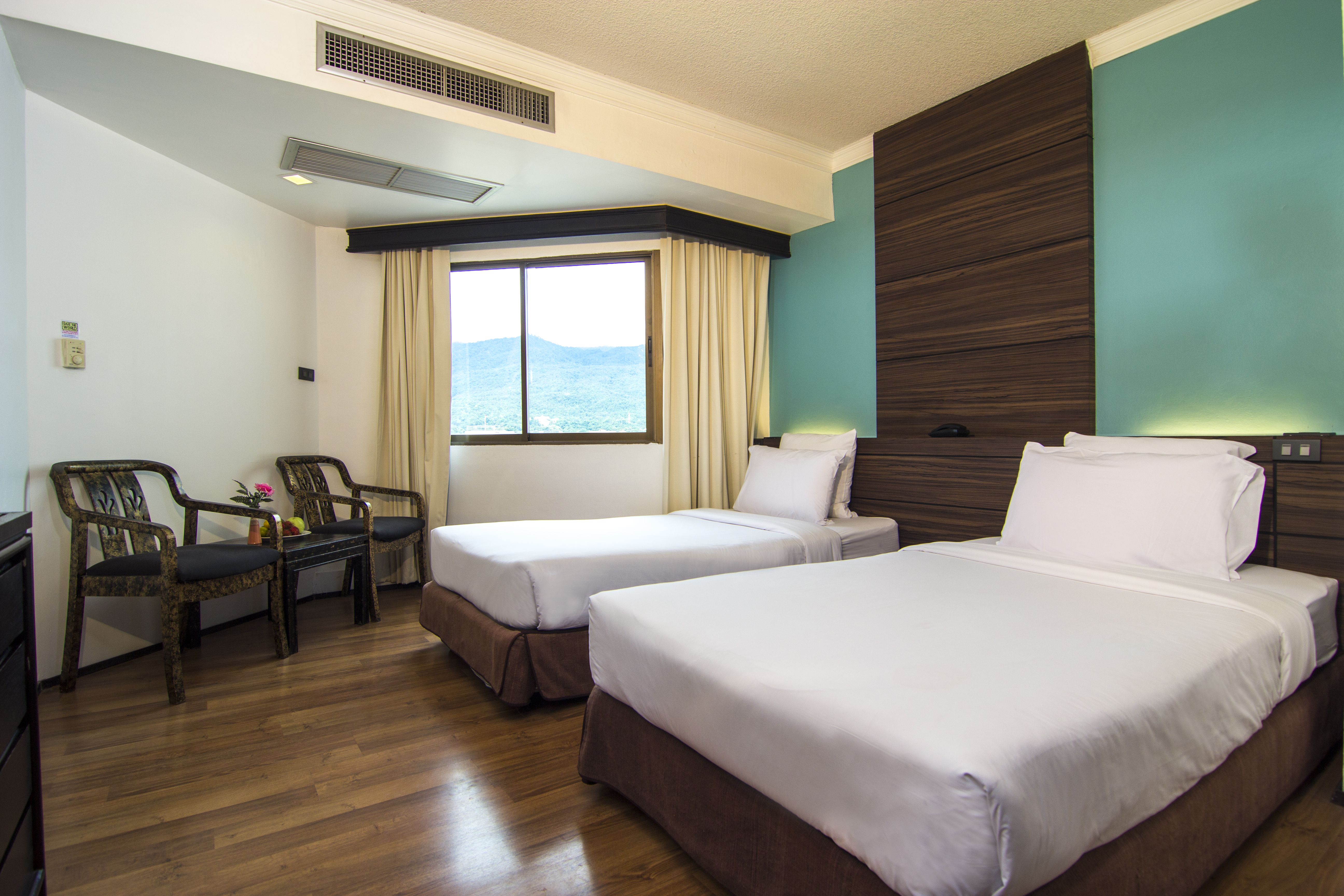 Superior, Executive, Double or Twin Bed