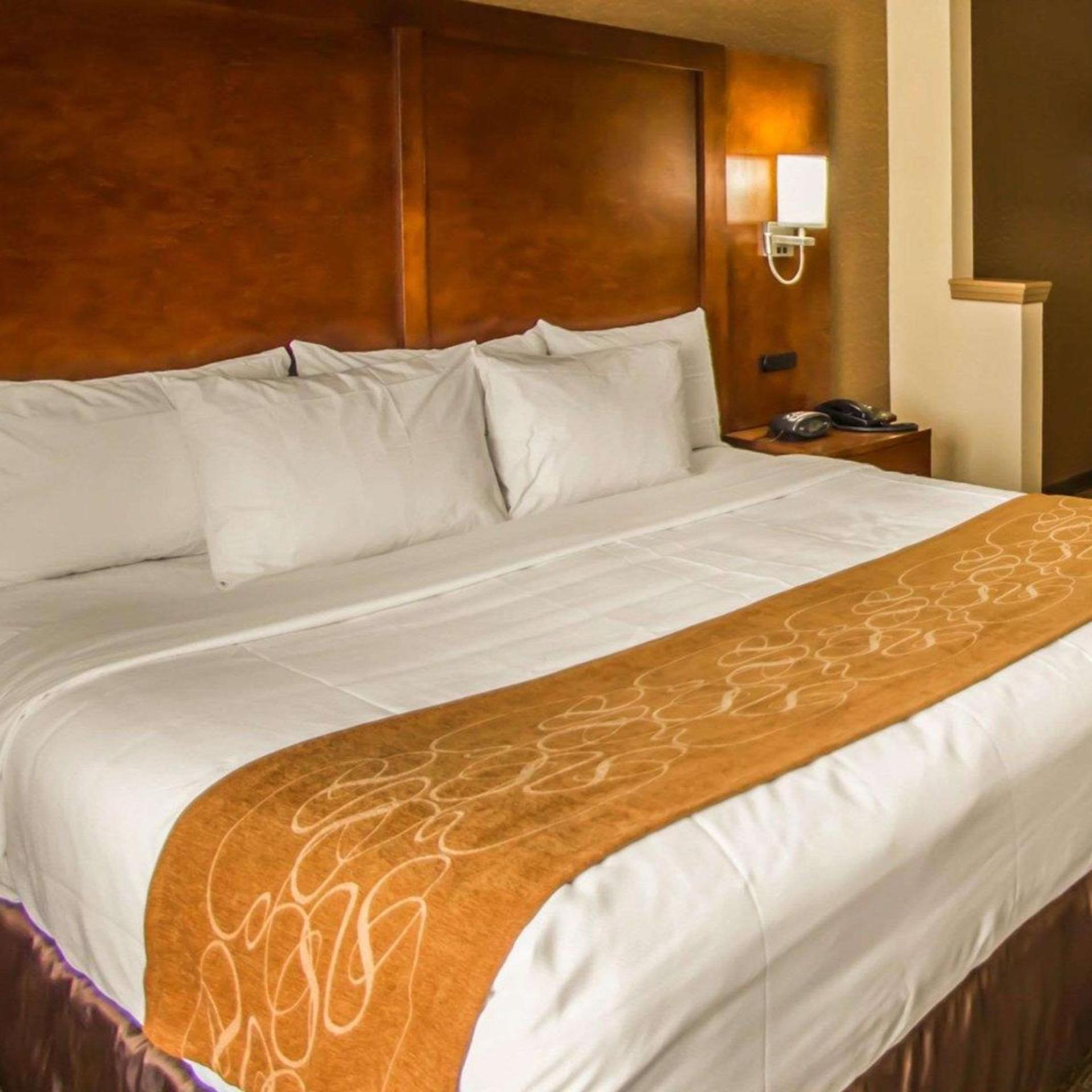 Efficiency, Suite, King Bed, Kitchenette