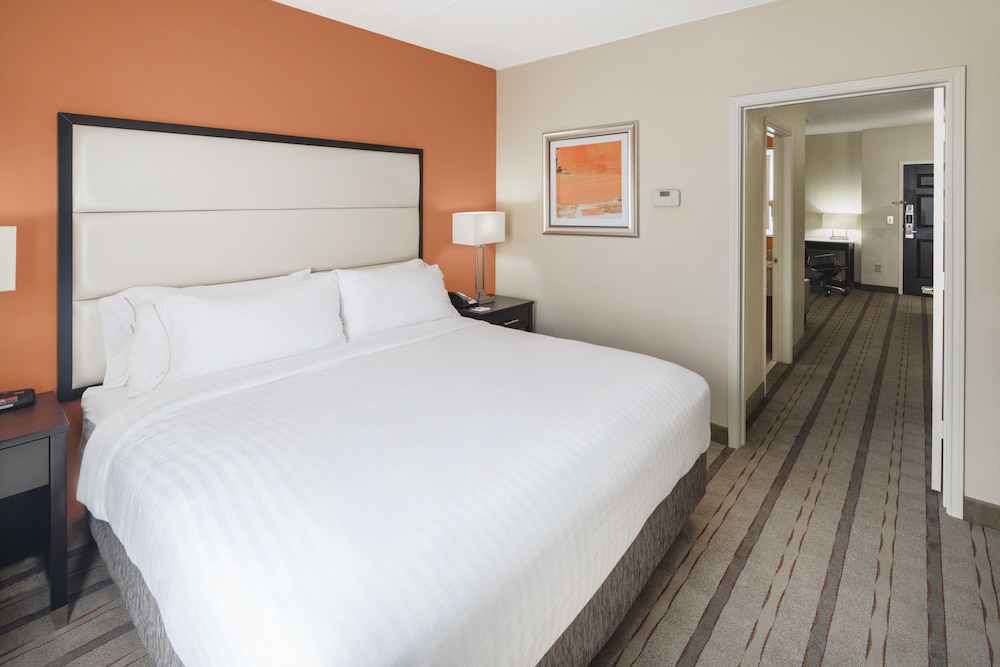 Holiday Inn Express And Suites Duluth Mall Area 13/69