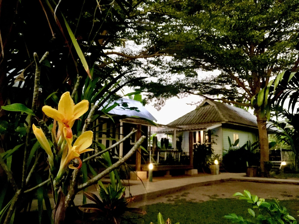 Canary Guesthouse 11/65