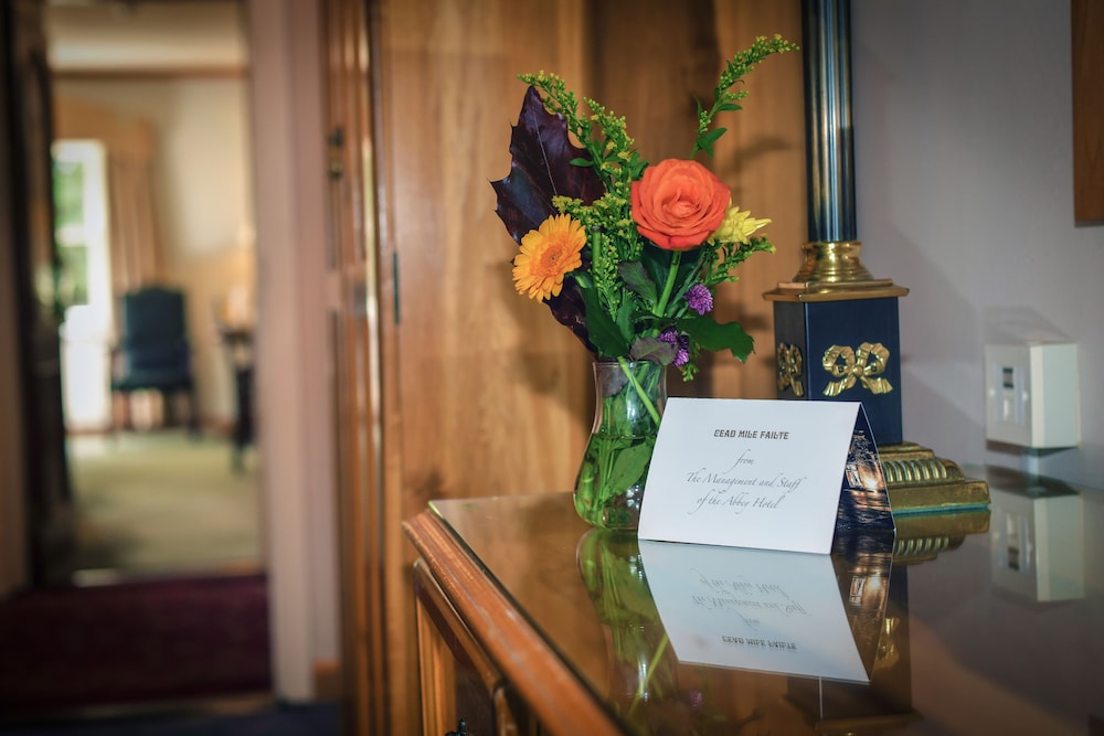 Abbey Hotel Roscommon 29/65