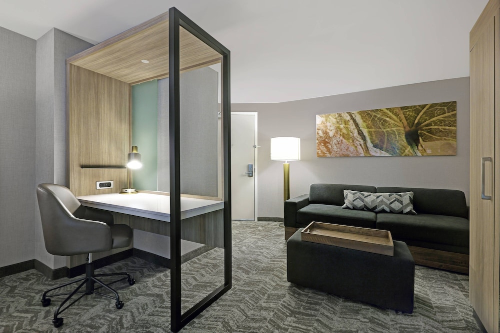 SpringHill Suites by Marriott Palm Desert 35/54