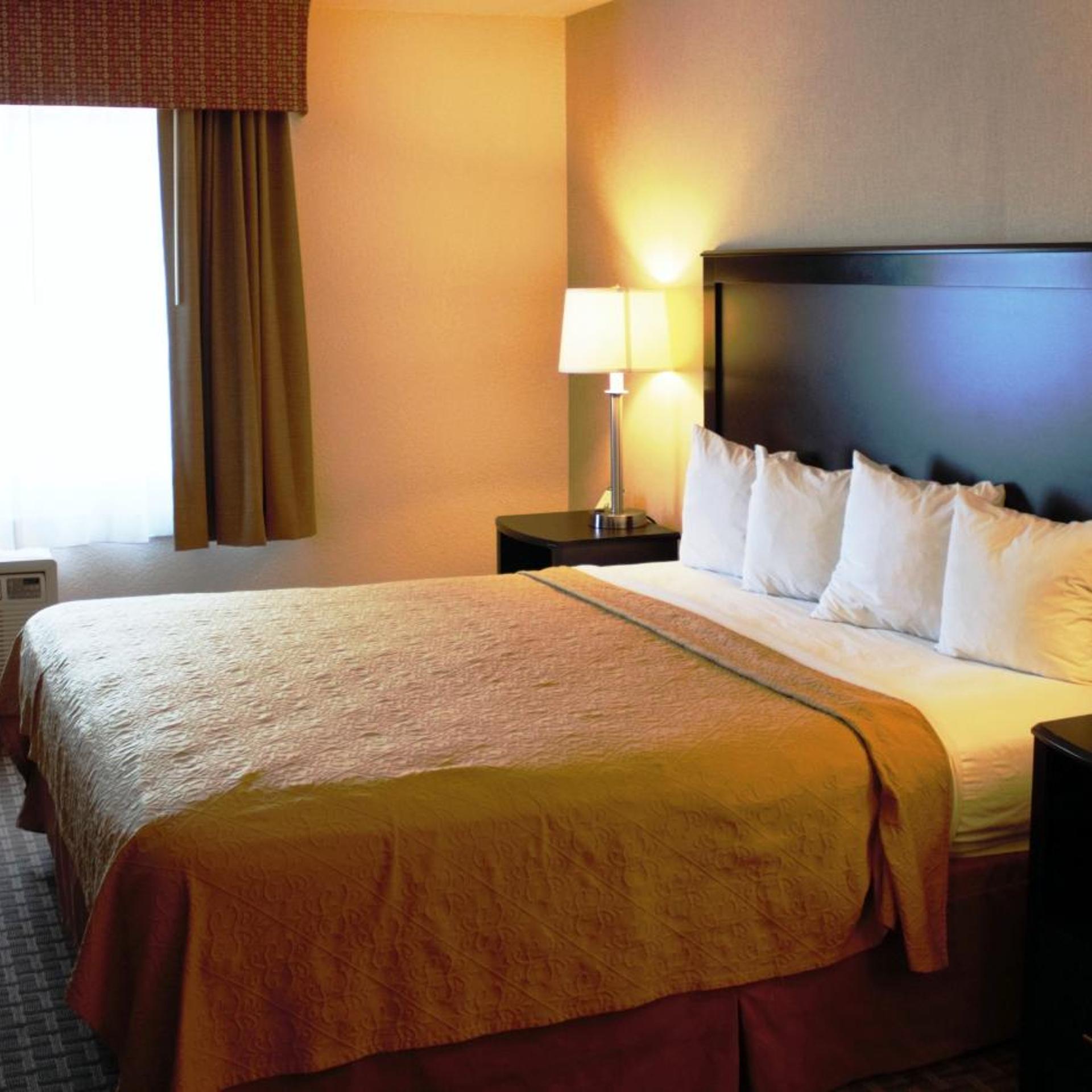Efficiency, King Bed