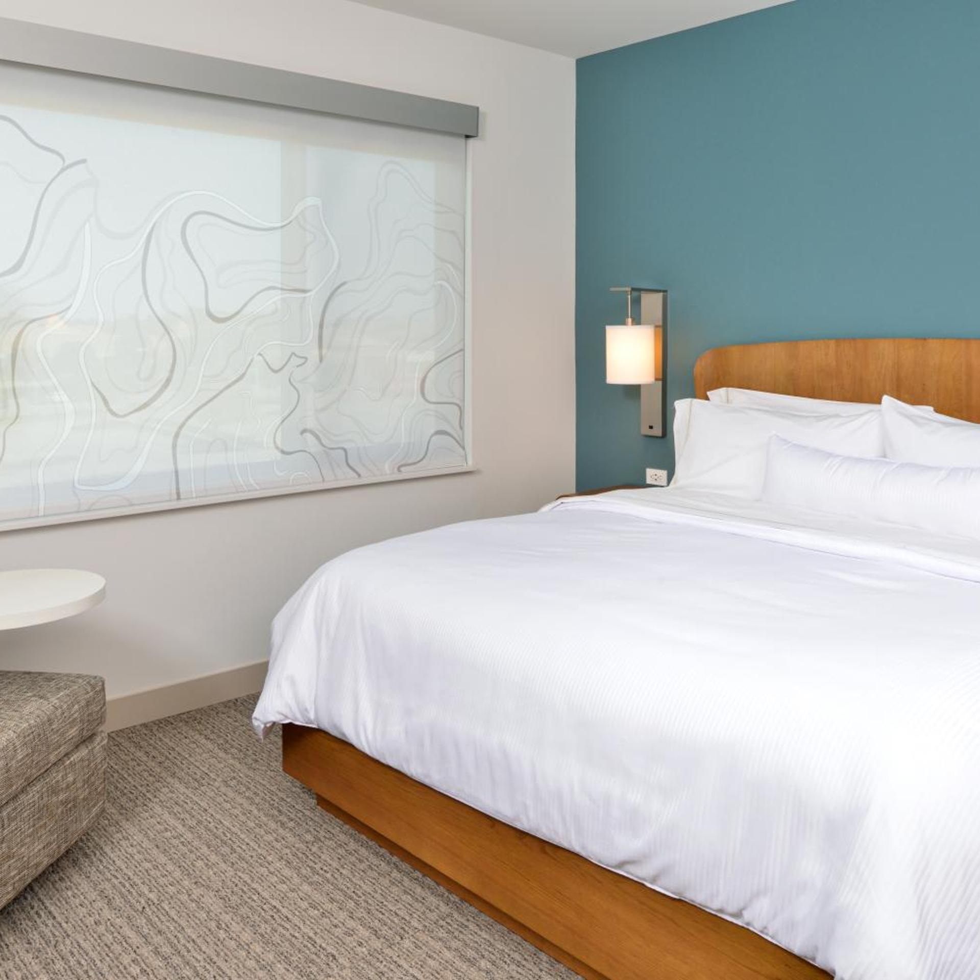 Guest Room, Standard, King Bed