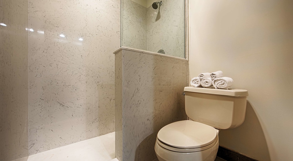 Best Western Plus All Suites Inn 21/47