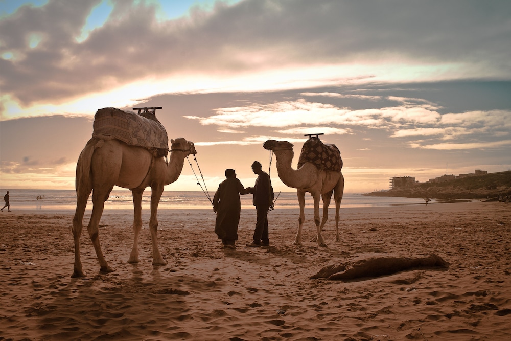 Fairmont Taghazout Bay 46/50