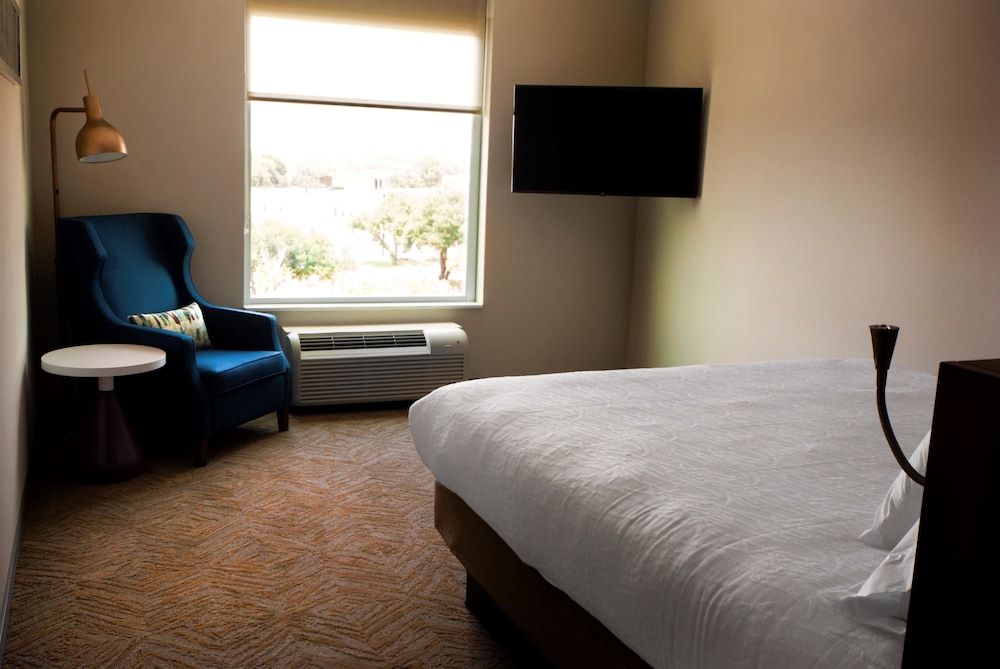 Hilton Garden Inn Dallas At Hurst Conference Center 23/53