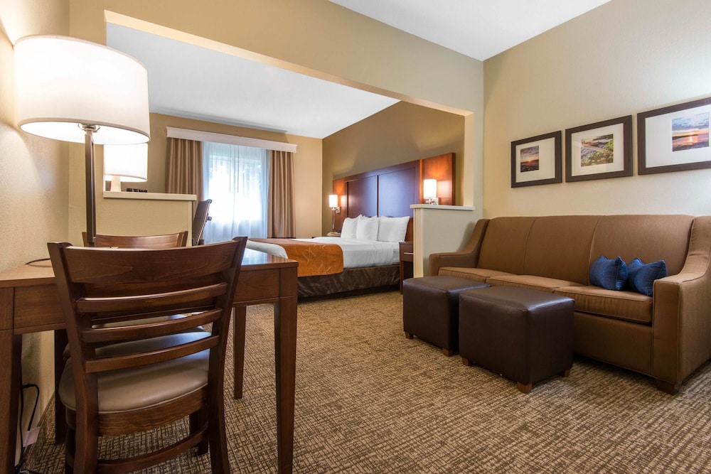 Comfort Suites Rochester Henrietta University Area 24/40