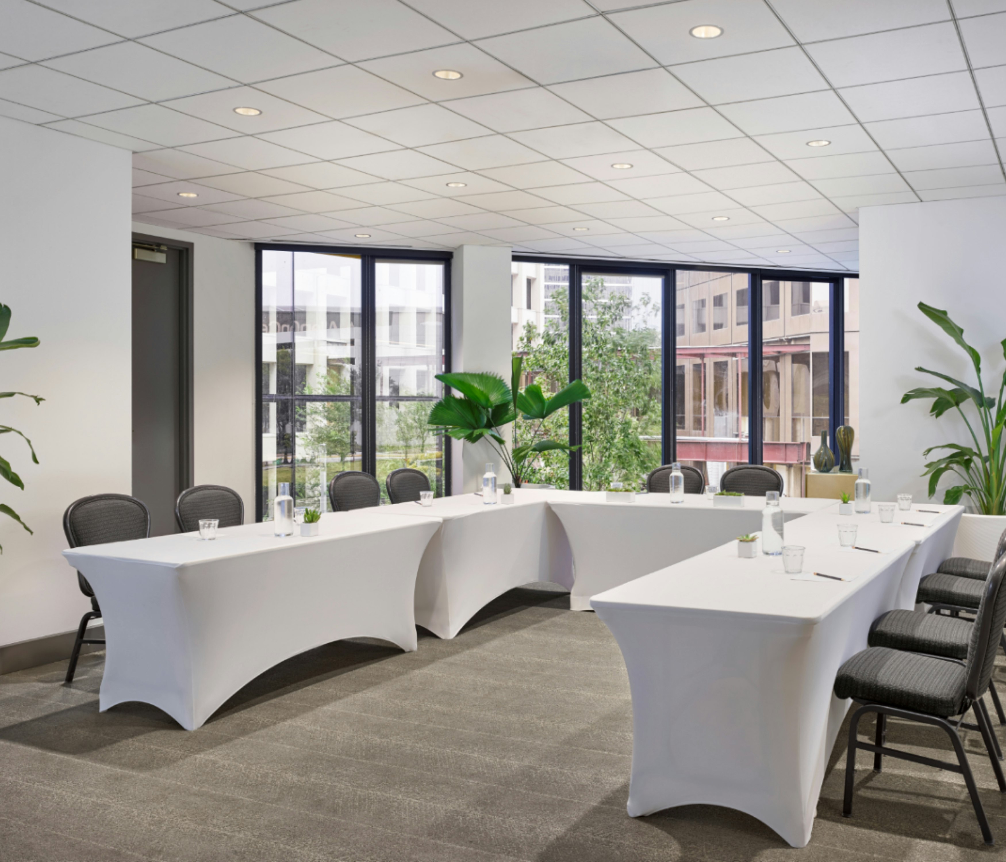 C. Baldwin Curio Collection by Hilton 16/19