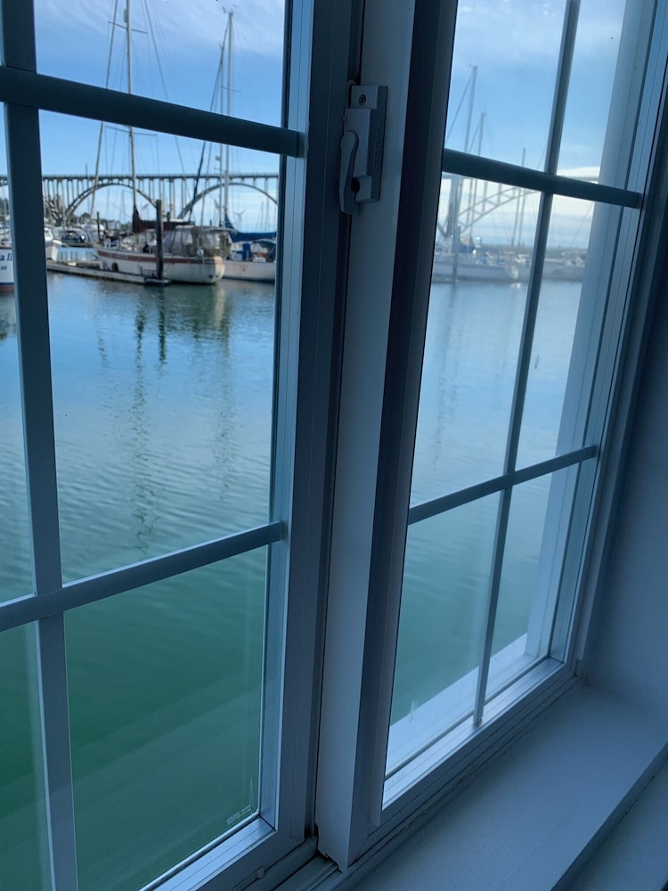 The Newport Belle 31/50