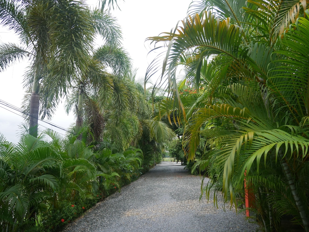 Baan Suan Palm Resort 24/36