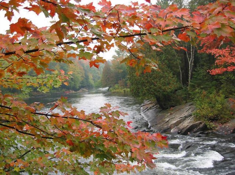 Algonquin Lakeside Inn 30/50
