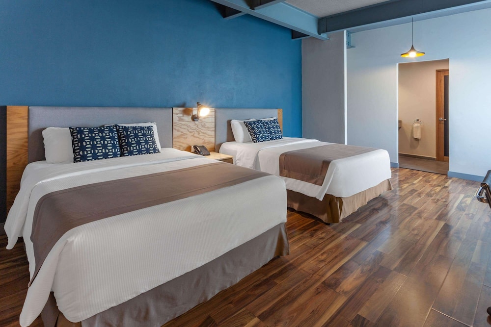 Tryp By Wyndham San Luis Potosi 10/48